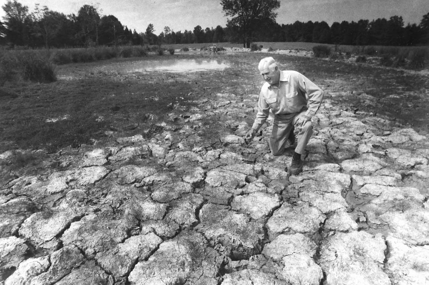 1983: Extremely dry summer